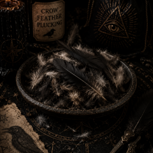 Crow Feather Plucking